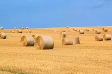 Annonces en Tunisie sous la catégorie Terrains