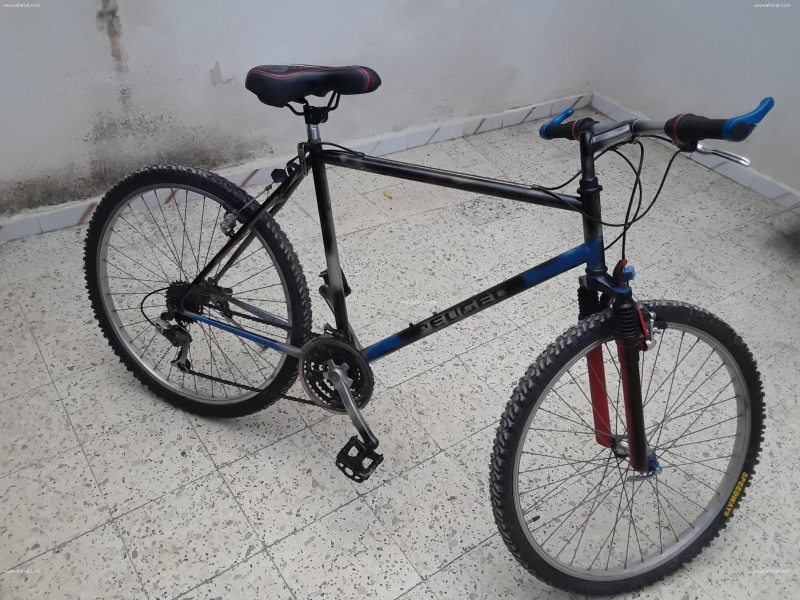 velo tayara